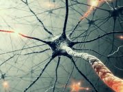 Athene’s Theory of Everything