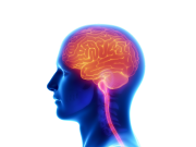 Neurofeedback Systems Market : Quantitative Market Analysis, Current and Future Trends, 2017-2027