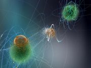 Quantum teleportation comes to Hefei and Calgary